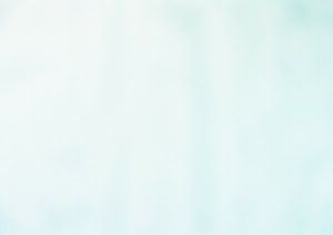 Torginol-P1000-Great White