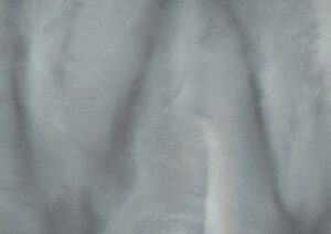 Torginol-P1020-Dolphin