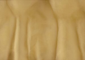 Torginol-P1120-Palapa