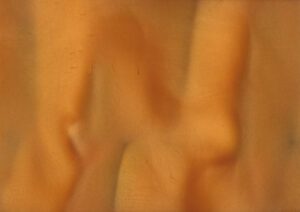 Torginol-P1130-Lager