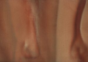 Torginol-P1165-Cannon