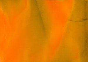 Torginol-P1310-Mandarin