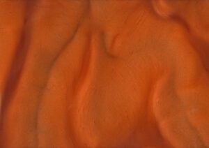 Torginol-P1320-Mango