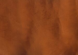 Torginol-P1340-Ginger