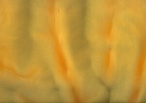 Torginol-P1420-Papaya