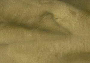 Torginol-P1430-Daydream