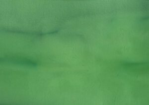 Torginol-P1520-Avocado