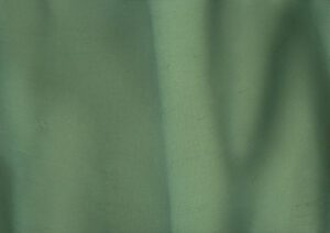 Torginol-P1530-Seaweed