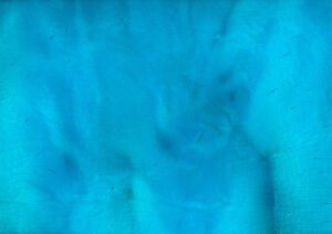 Torginol-P1610-Carribean