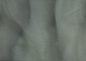 Torginol-P1630-Curacao